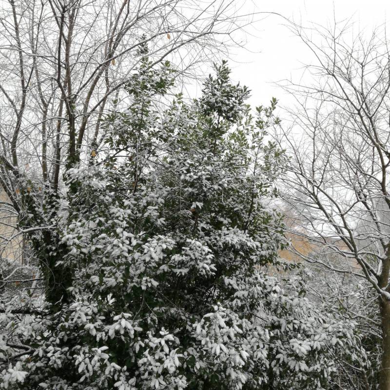 Neve a Mattarello
