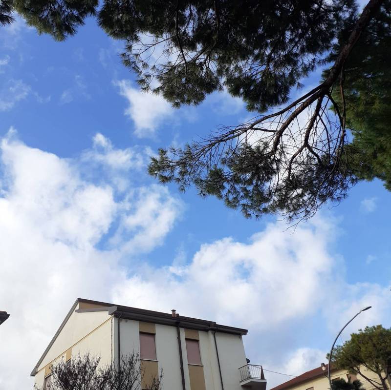 Fotosegnalazione di Forli' ridolfi