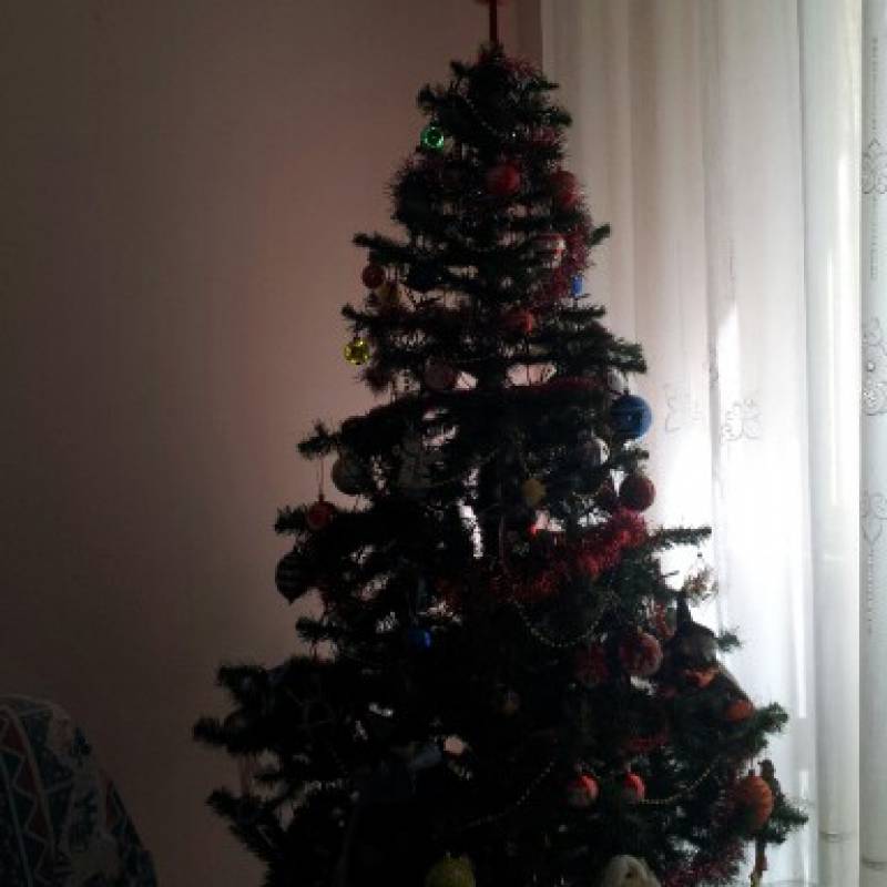 25 dicembre