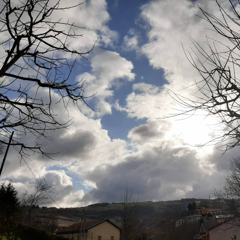 Della neve nessuna traccia