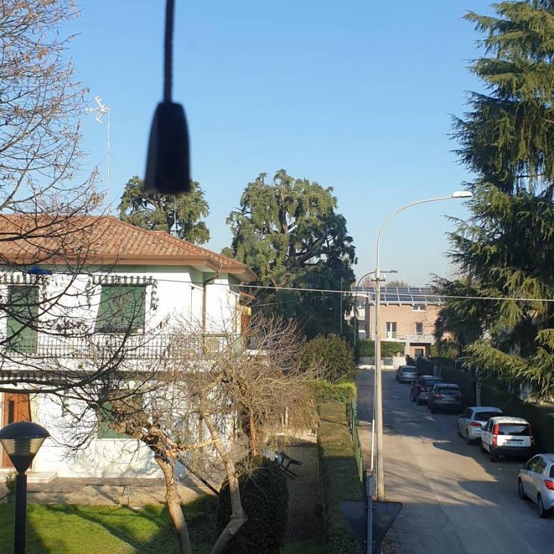 Fotosegnalazione di Mogliano veneto