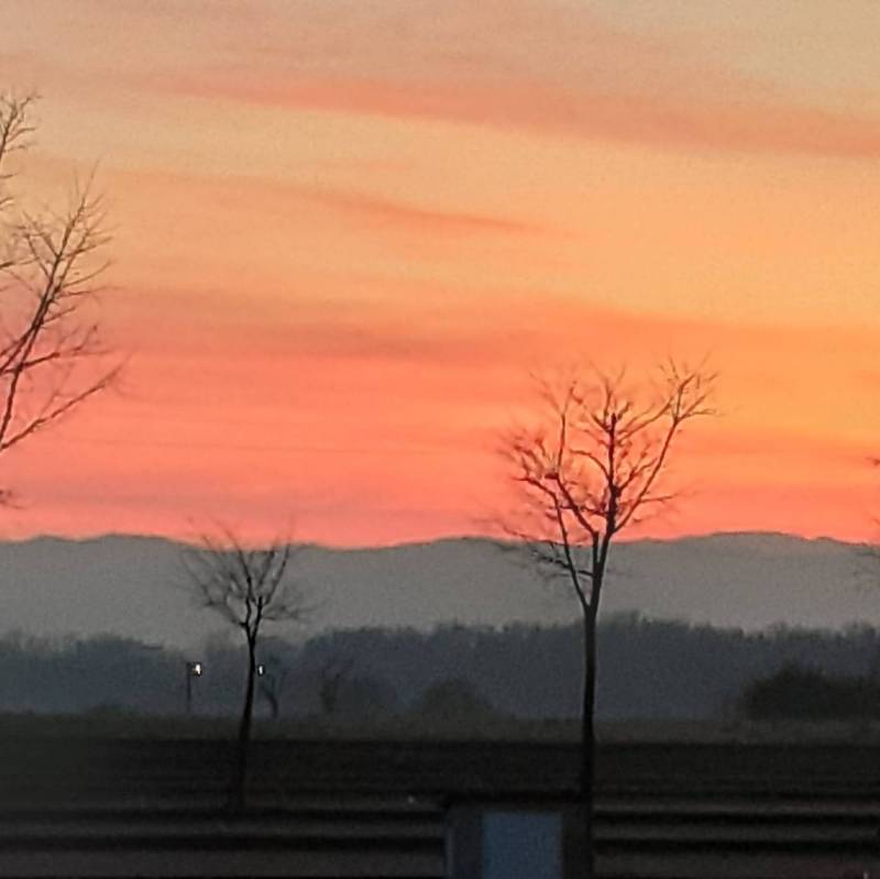 Fotosegnalazione di Forli' ridolfi
