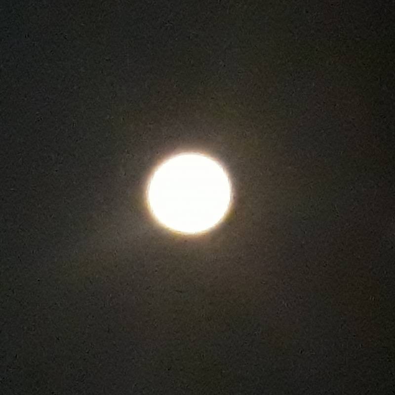 Notte di luna piena 10 gennaio 2020