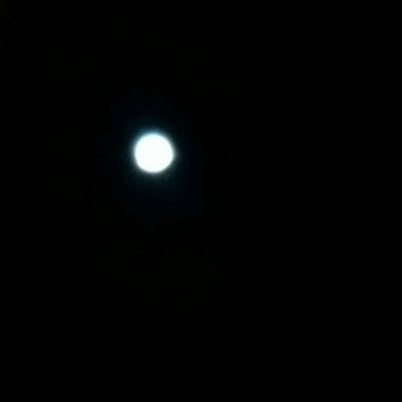 Luna bellissima