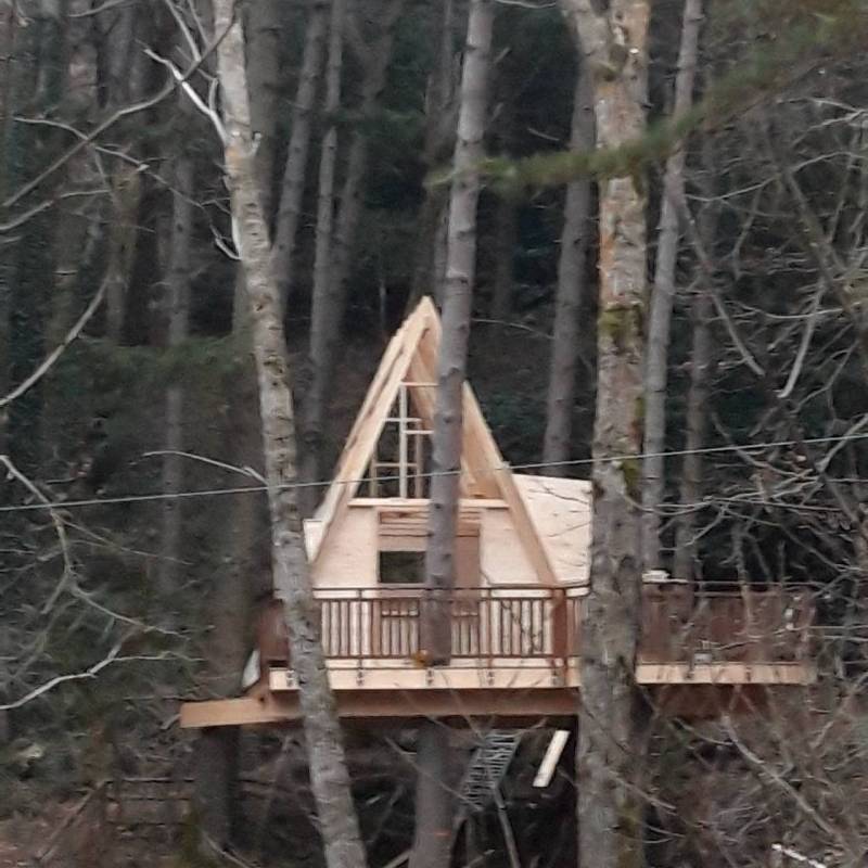 treehousetwo