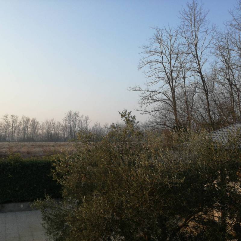 Fotosegnalazione di Terno d'isola