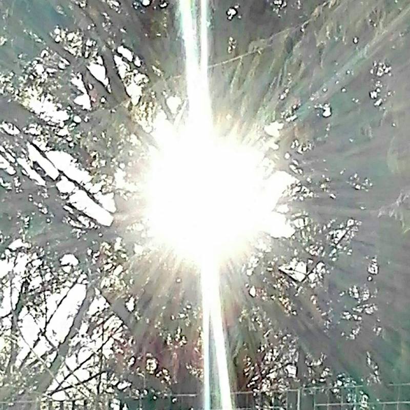 Dopo la neve il sole torna tra gli alberi