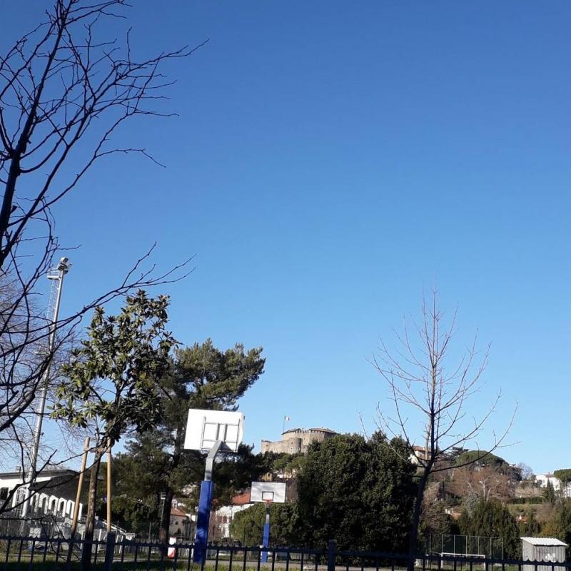 Fotosegnalazione di Gorizia