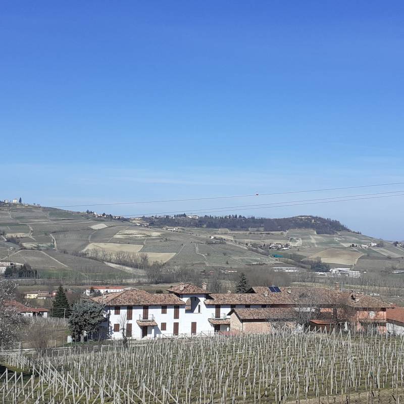 Prove sceniche di primavera