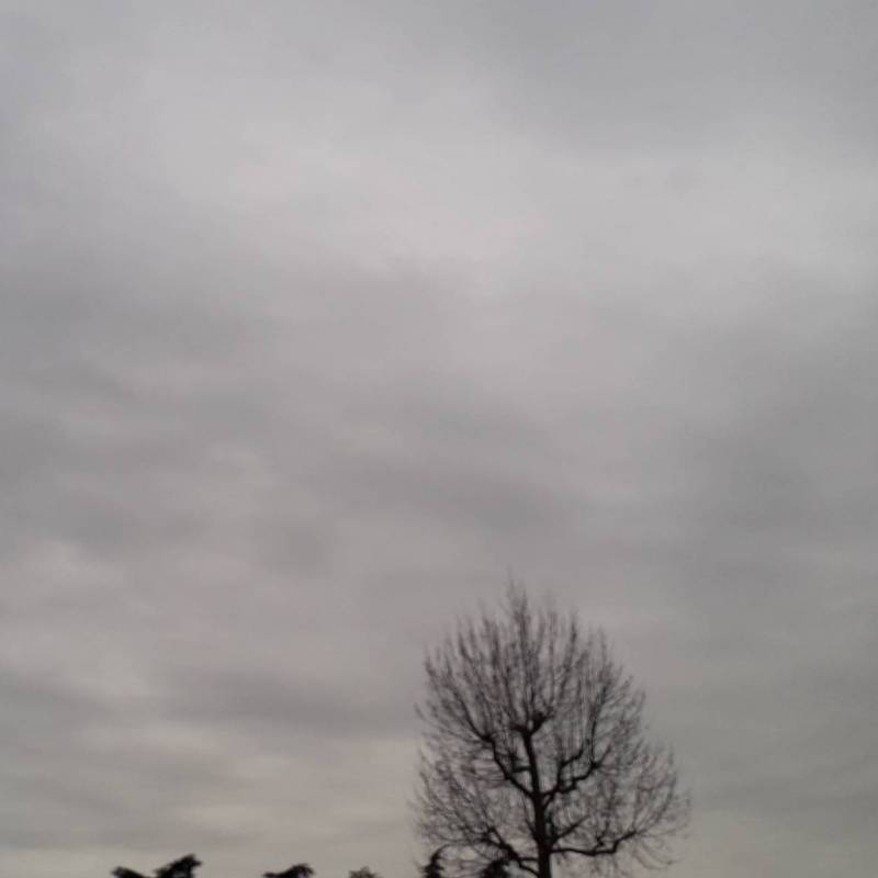 Fotosegnalazione di San fior