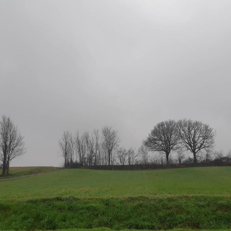 Fotosegnalazione di Alseno