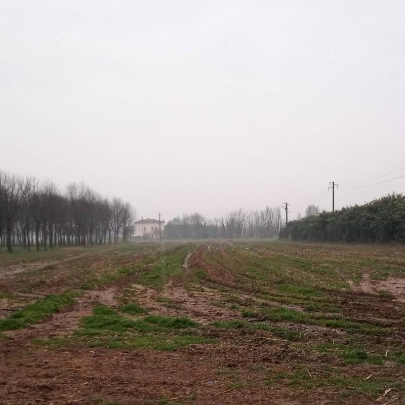 Fotosegnalazione di Orzinuovi