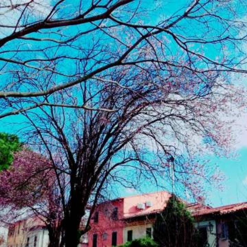 Fotosegnalazione di Prato