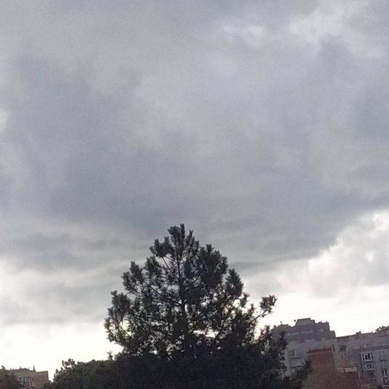 Fotosegnalazione di Savona