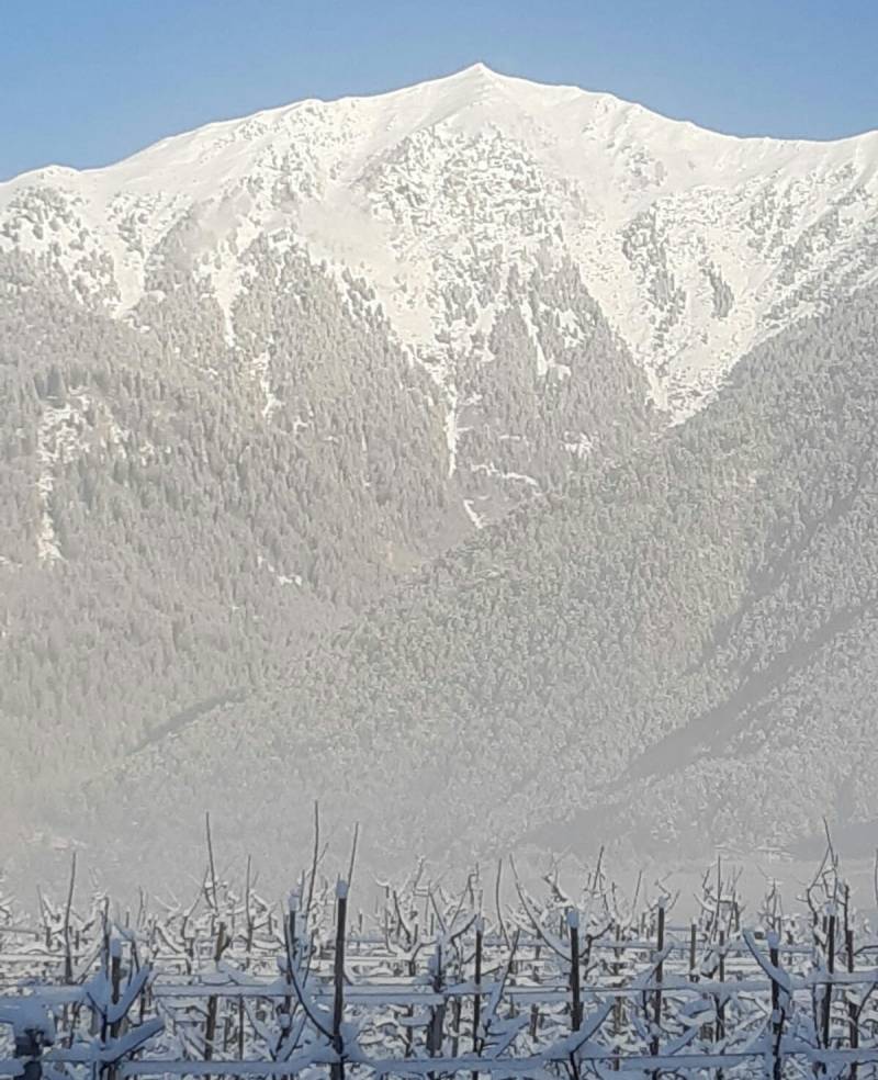Monte pin visto da varollo di livo