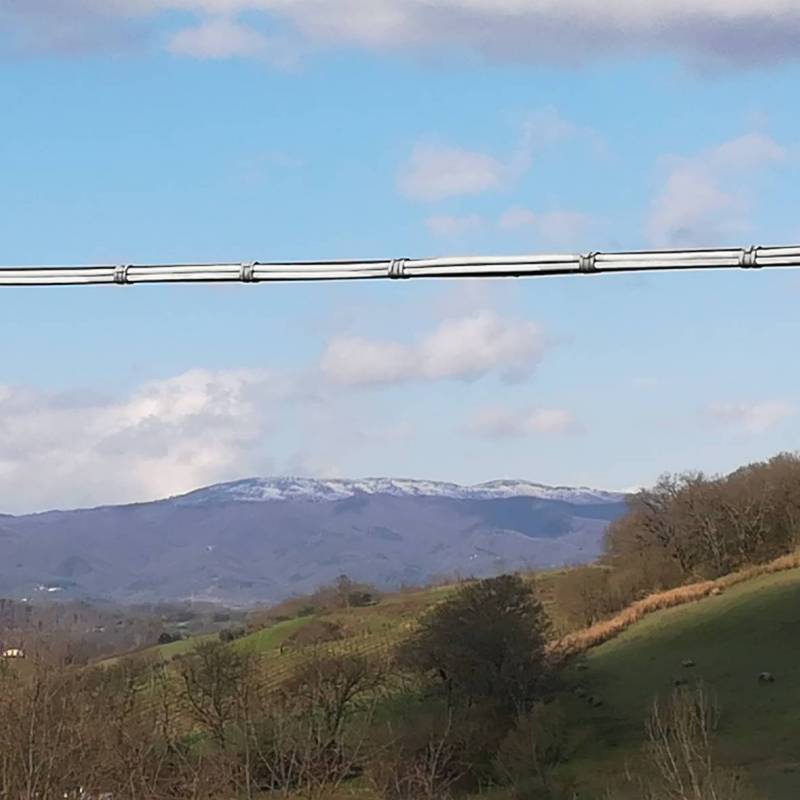 Fotosegnalazione di Terranuova bracciolini