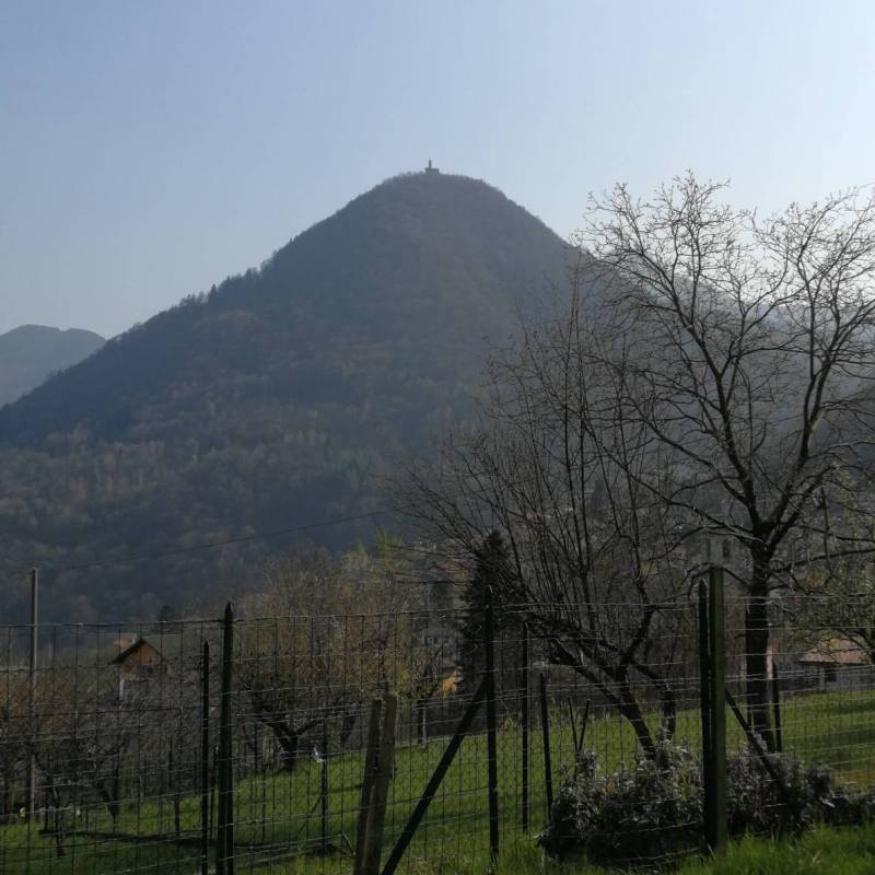 Fotosegnalazione di Cerano d'intelvi