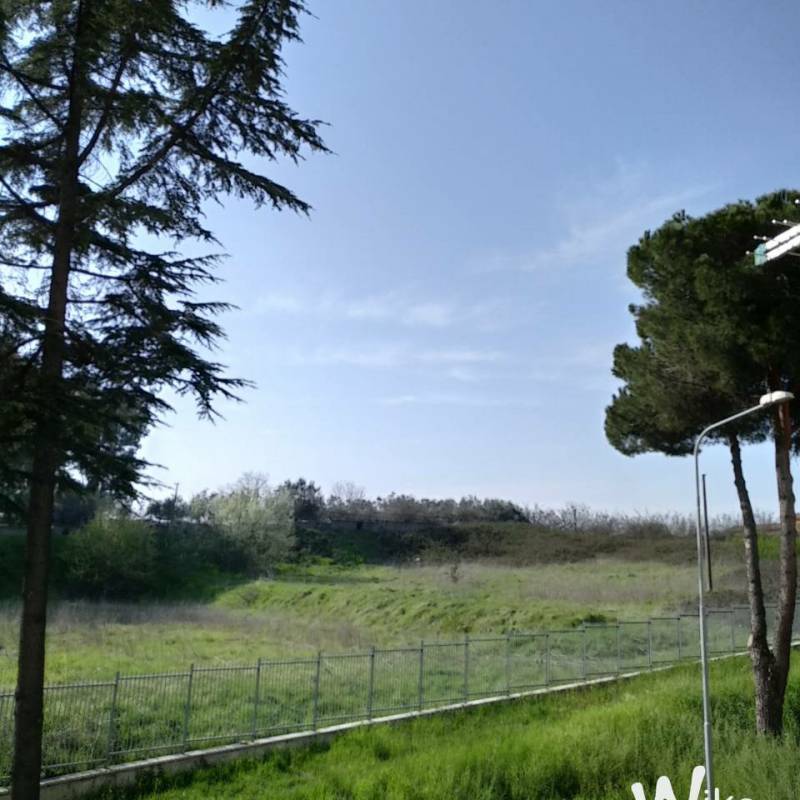 Fotosegnalazione di Roma tor vergata
