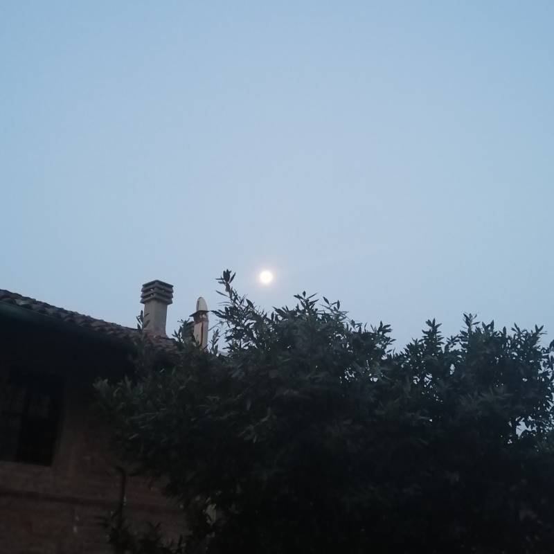 La luna in una sera di quarantena