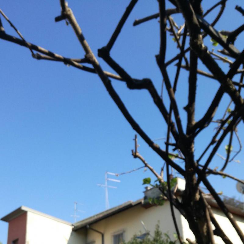 Fotosegnalazione di Paderno dugnano