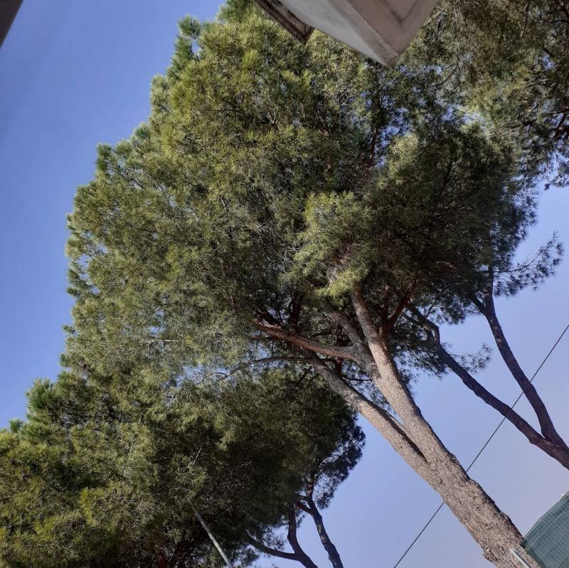 Un'altra giornata soleggiata