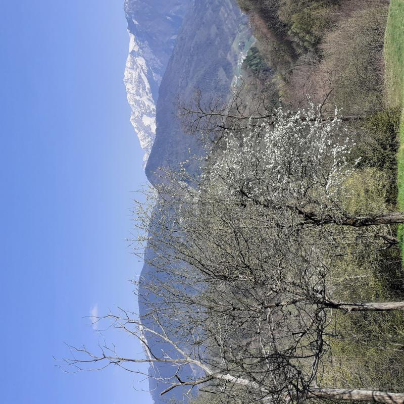 Cielo azzurro