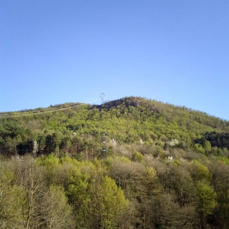 Fotosegnalazione di Sassello