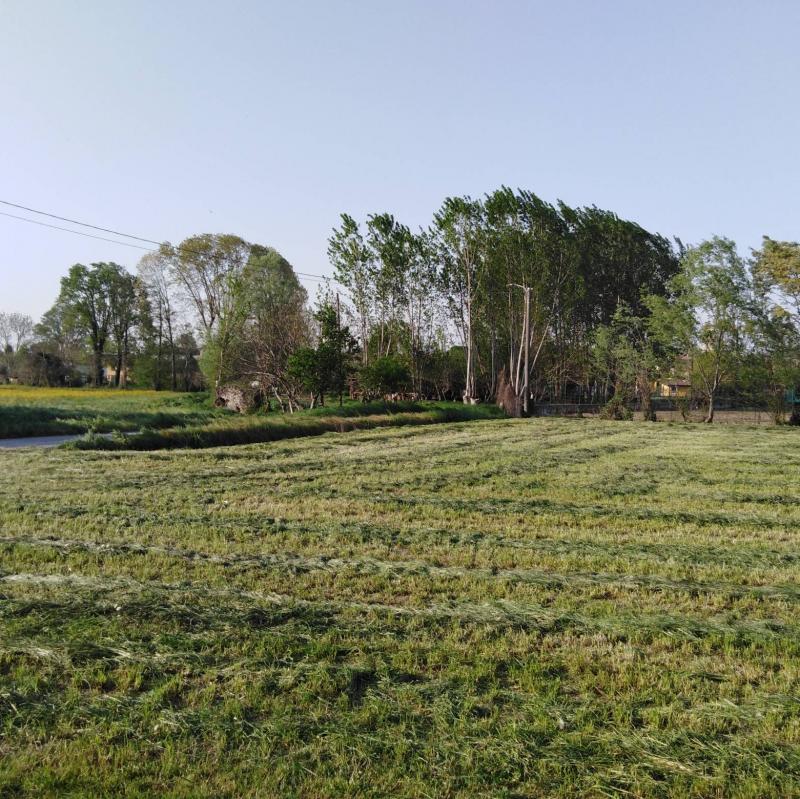 Fotosegnalazione di Credera rubbiano