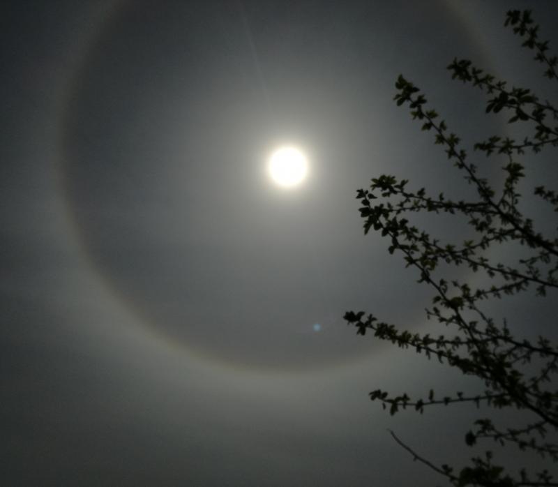 L'anno dei corona anche il sole