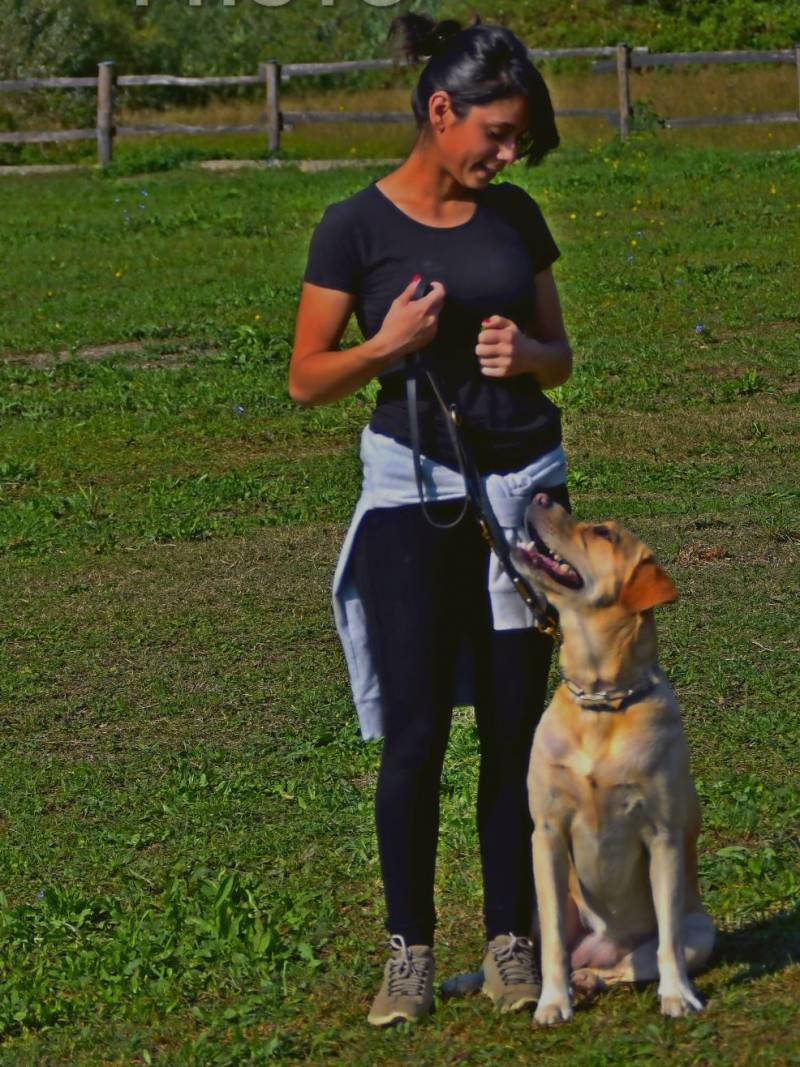 A.s.d passione cinofila campo addestramento cani
