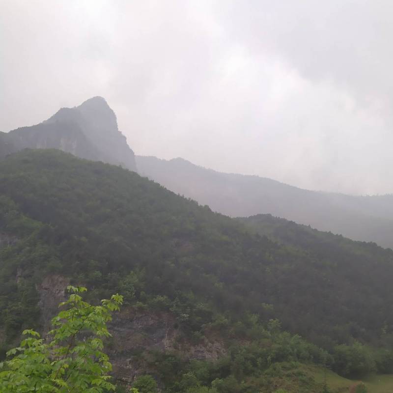 Fotosegnalazione di Grigno