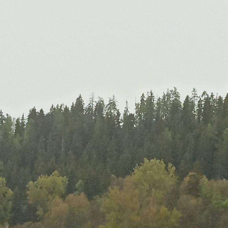 Fotosegnalazione di Doues