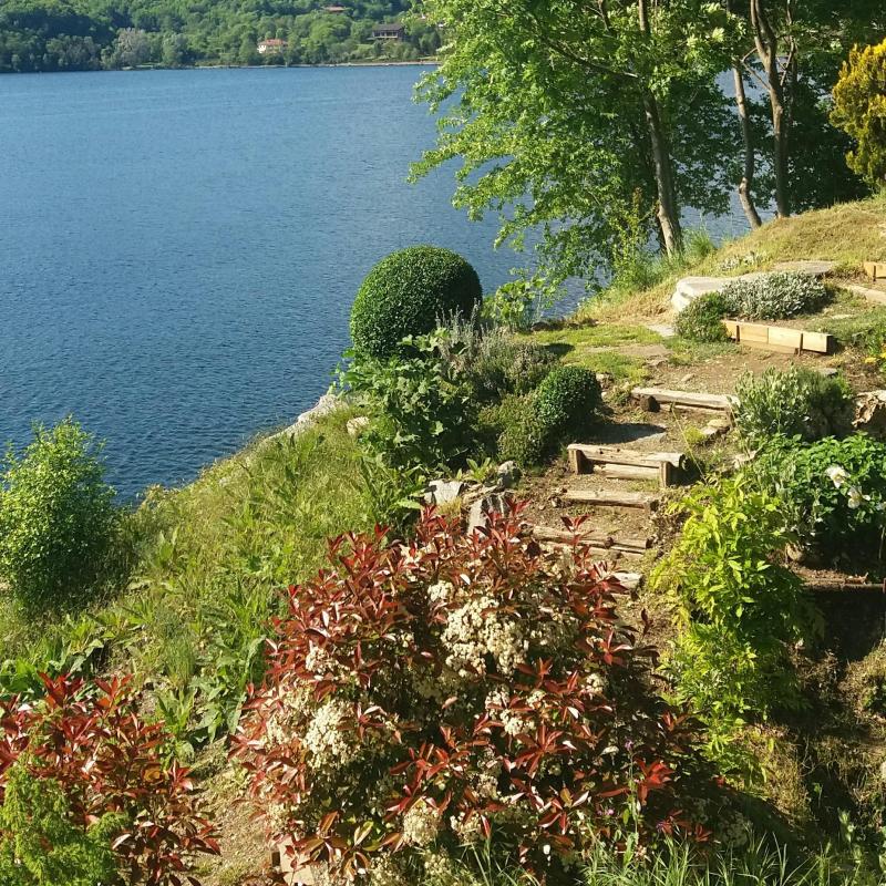 Lungo lago