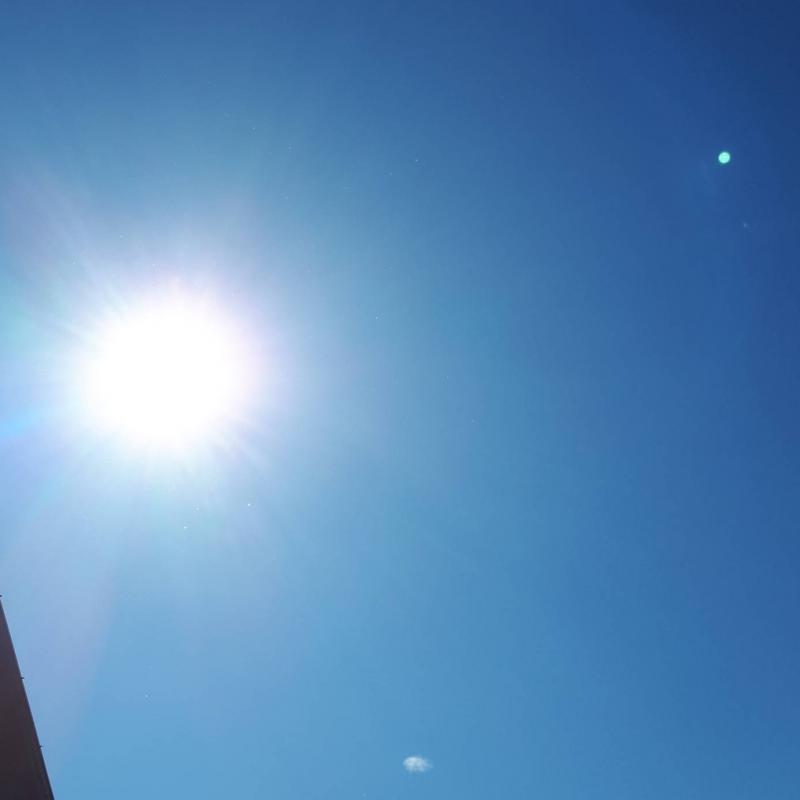 Fotosegnalazione di Cura carpignano