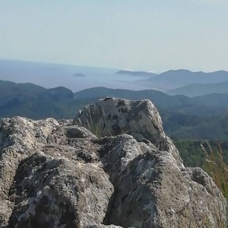 Fotosegnalazione di Vezzi portio