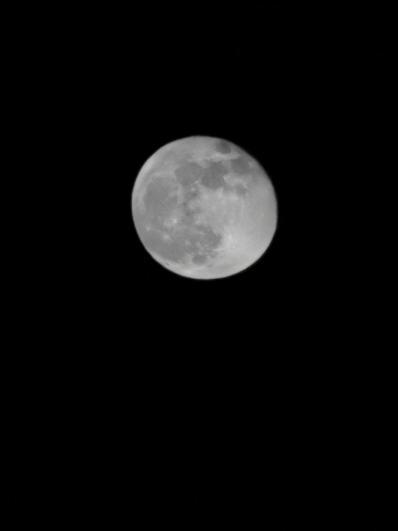 Luna calante visibilita' 97