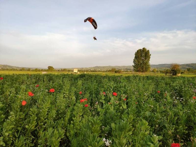 Sturno zona pip volo di maggio..