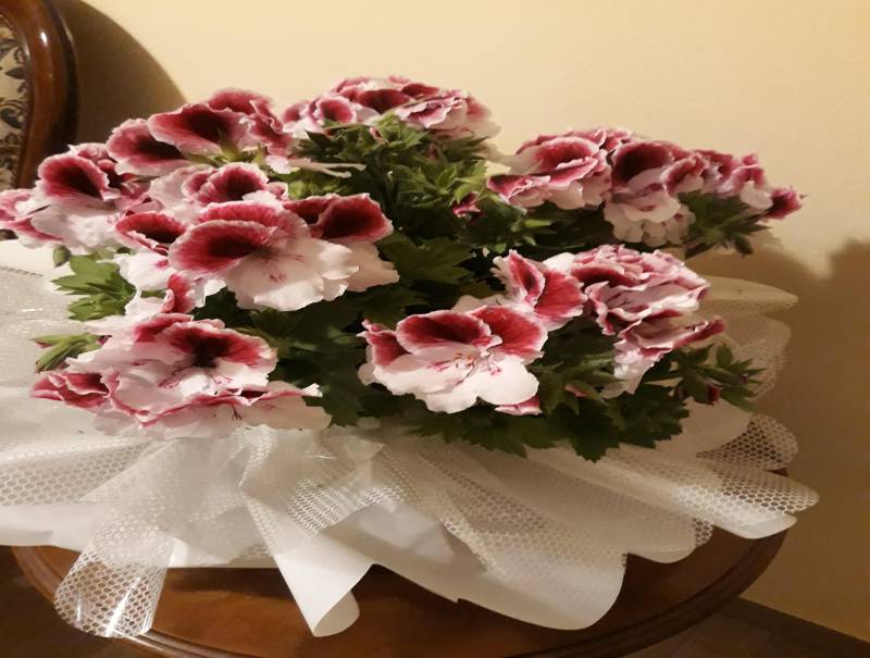 Auguri a tutte le mamme