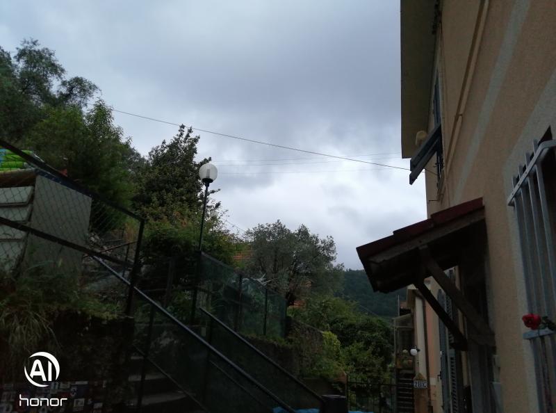 Fossato cicala san gottardo