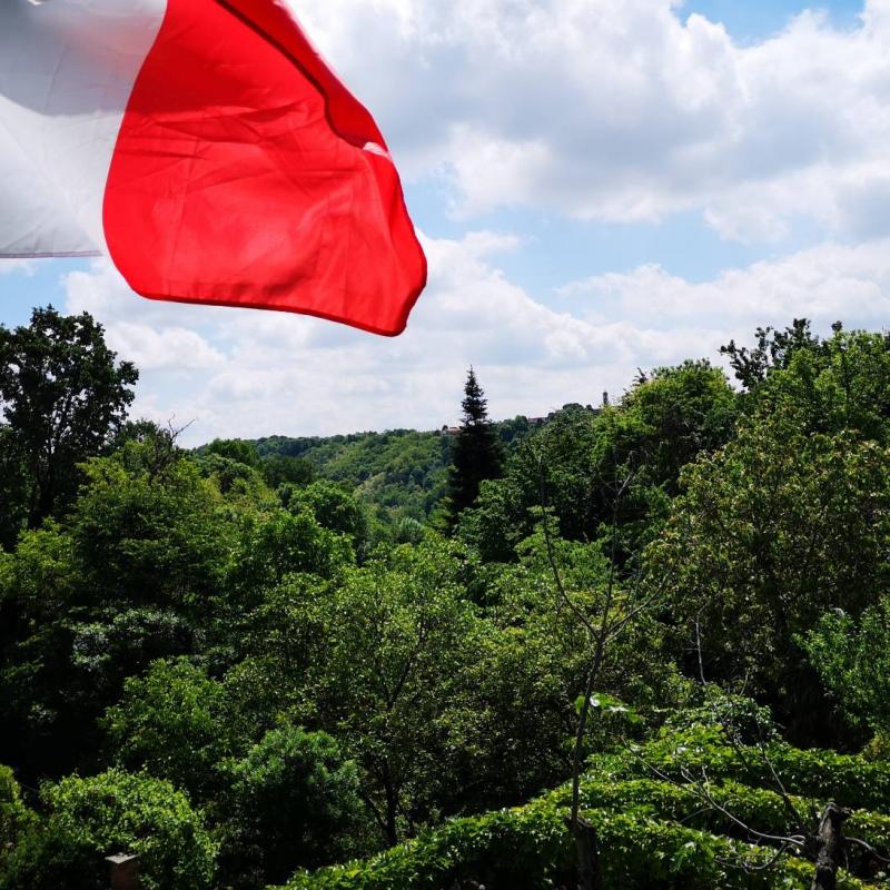 Fotosegnalazione di Barbania