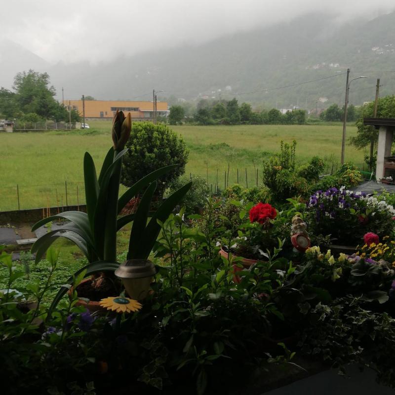 Fotosegnalazione di Domodossola