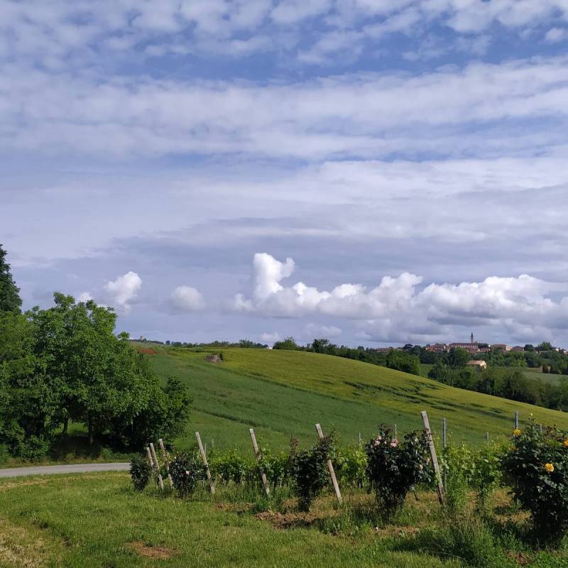 Fotosegnalazione di Rosignano monferrato