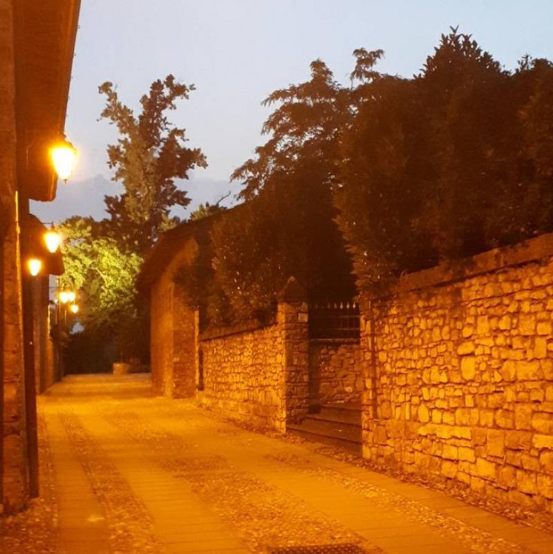 Fotosegnalazione di Monticelli brusati