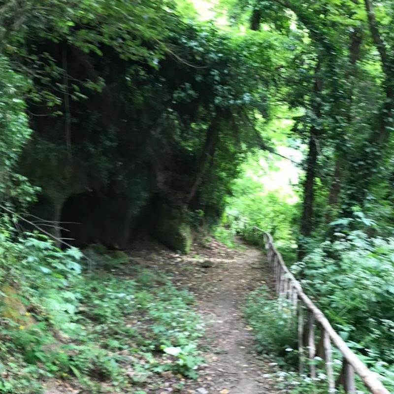 Parco delle cave ore 15