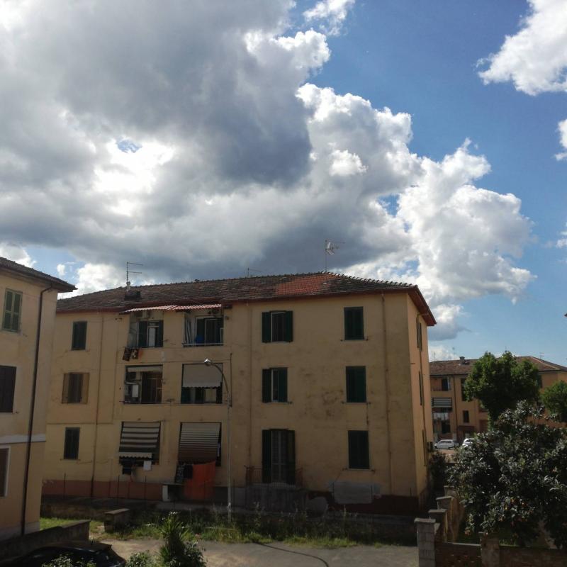 Fotosegnalazione di Pontecorvo