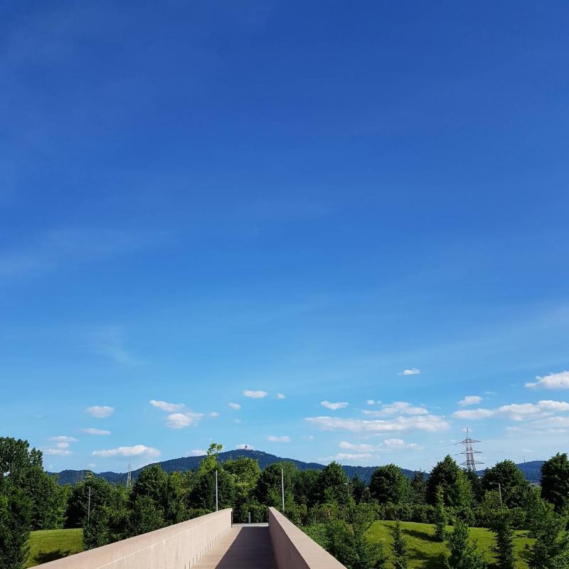 Fotosegnalazione di Settimo torinese