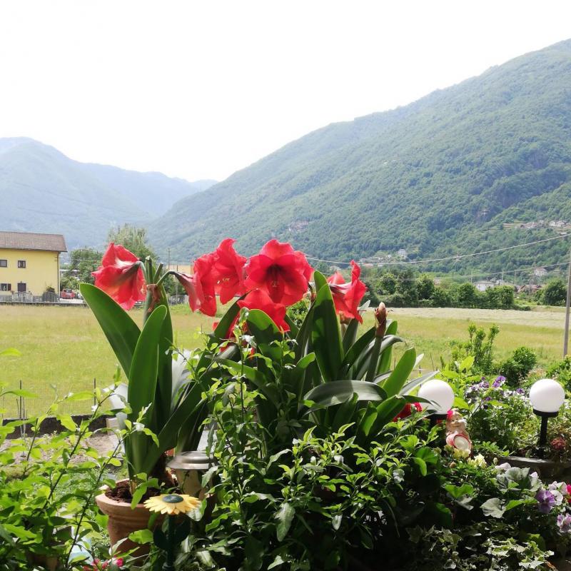 Fotosegnalazione di Domodossola