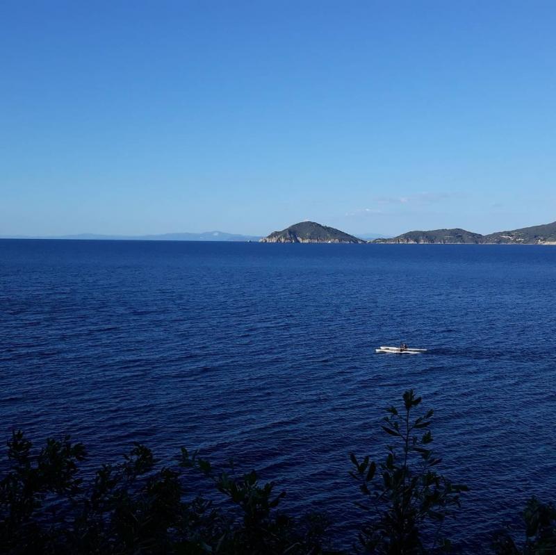Fotosegnalazione di Marciana marina