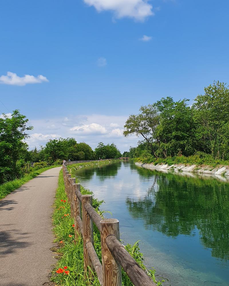 Riflessi sul canale villoresi..