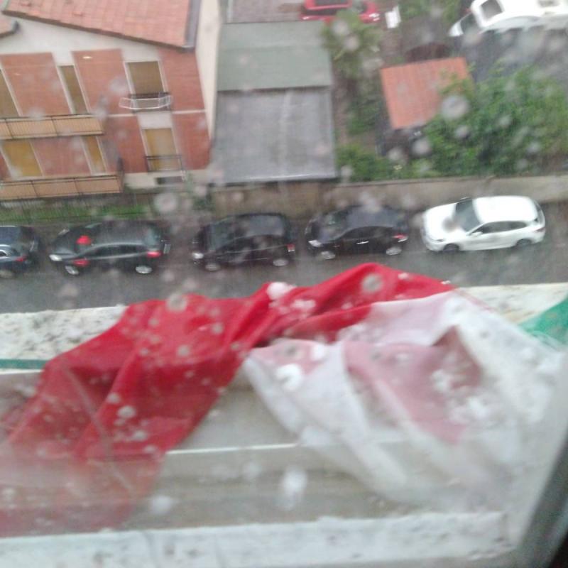 Fotosegnalazione di Novate milanese
